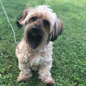 Meet your Posher, Jen